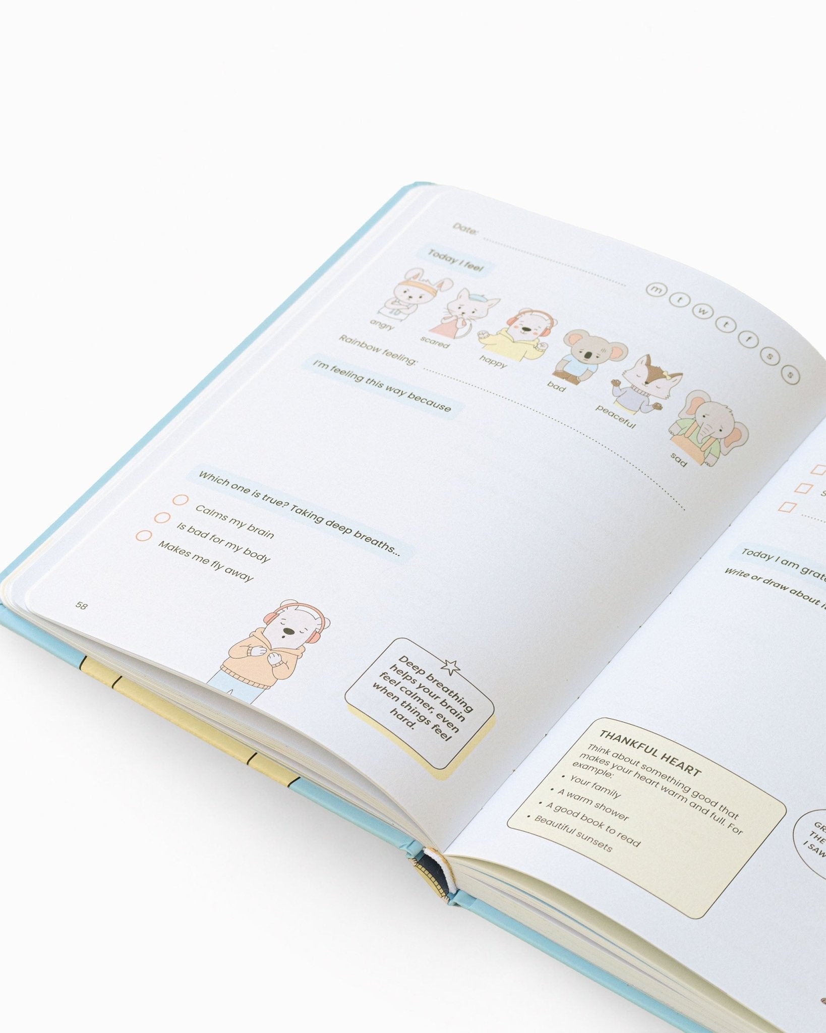 Koomi & Friends Journal - Miji